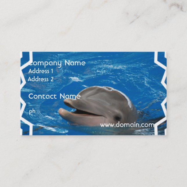 Lovable Dolphin Business Card (Front)