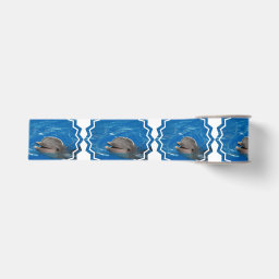 Lovable Dolphin Grosgrain Ribbon