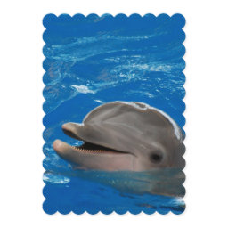Lovable Dolphin Invitation