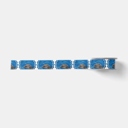 Lovable Dolphin Satin Ribbon