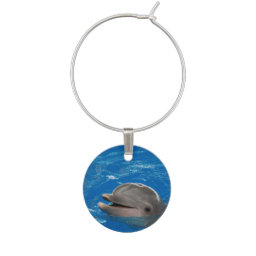 Lovable Dolphin Wine Charm