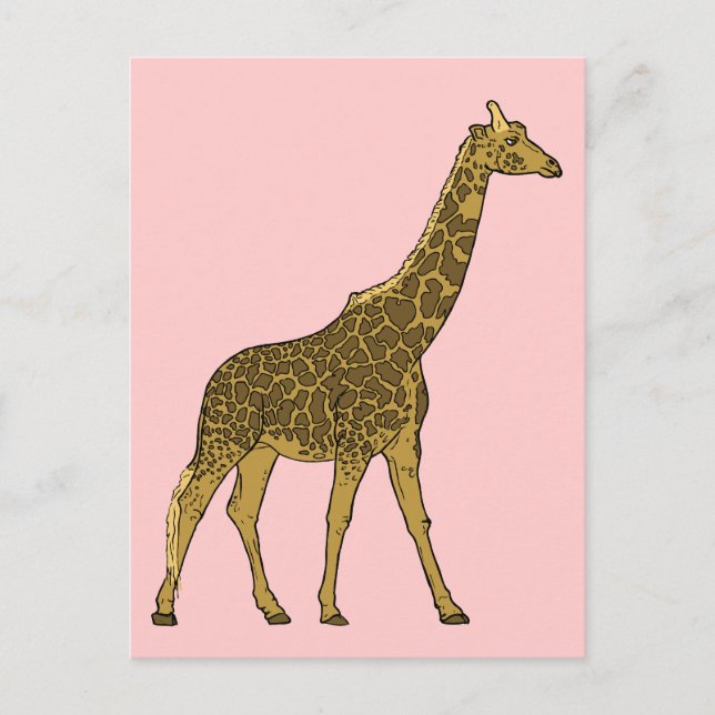 Lovable Giraffe Postcard (Front)
