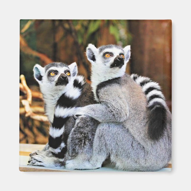 Lovable Lemurs Magnet (Front)