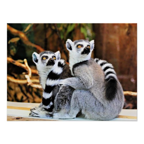 Lovable Lemurs Poster