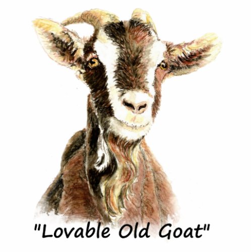 Lovable Old Goat Fun Watercolor Animal Statuette