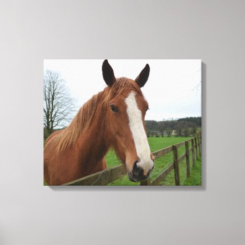 Lovable Quarter Horse Canvas Print