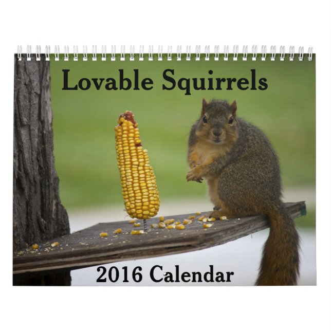 Lovable Squirrels 2016 Calendar (Cover)