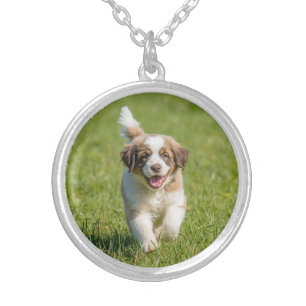 Lovable St. Bernard Round Silver Plated Necklace