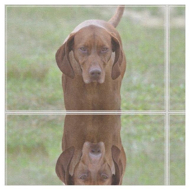 Lovable Vizsla Fabric (Close Up)
