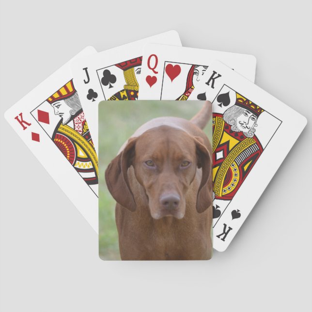 Lovable Vizsla Poker Cards (Back)