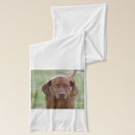 Lovable Vizsla Scarf<br><div class="desc">Really lovable and sweet vizsla dog.</div>