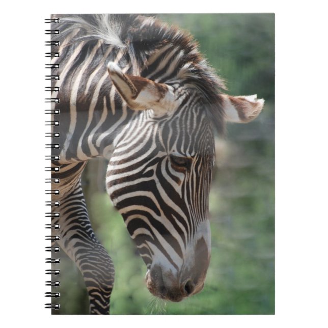 Lovable Zebra Notebook (Front)