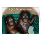 Love (Front Horizontal)