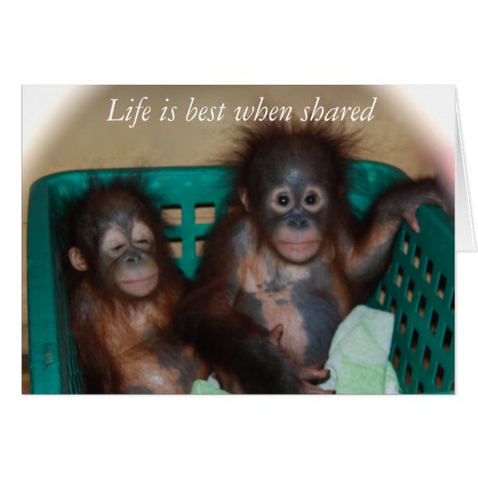 Love (Front Horizontal)