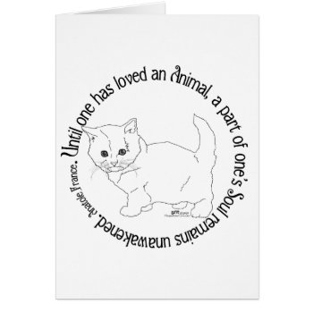 Love A Cat by MaggieRossCats at Zazzle