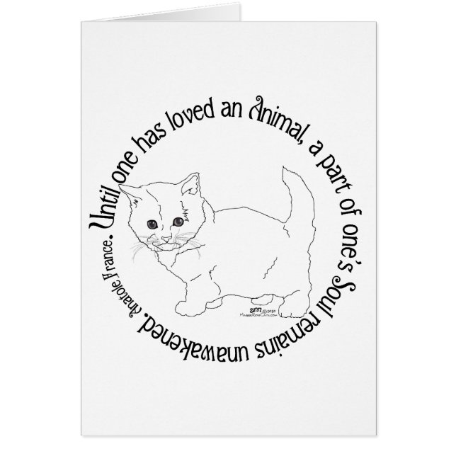 Love a Cat Cards (Front)
