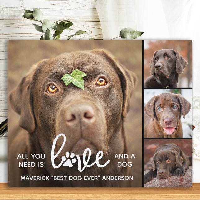 LOVE & a DOG Personalized Dog Lover Photo Collage  Plaque (Creator Uploaded)