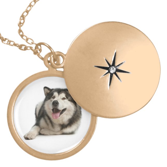 Love Alaskan Malamute Puppy Dog Pendant Necklace (Front)