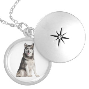 Love Alaskan Malamute Puppy Dog Pendant Necklace