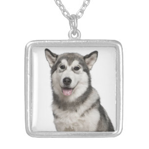 Love Alaskan Malamute Puppy Dog Pendant Necklace