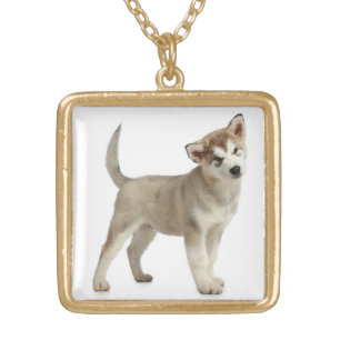 Love Alaskan Malamute Puppy  Gray & Black Sled Dog Gold Plated Necklace