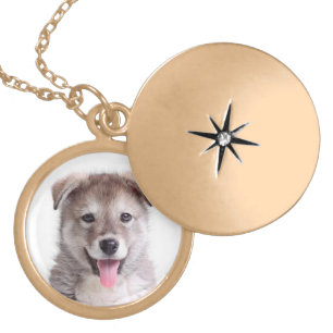 Love Alaskan Malamute Puppy Gray & Black Sled Dog Locket Necklace