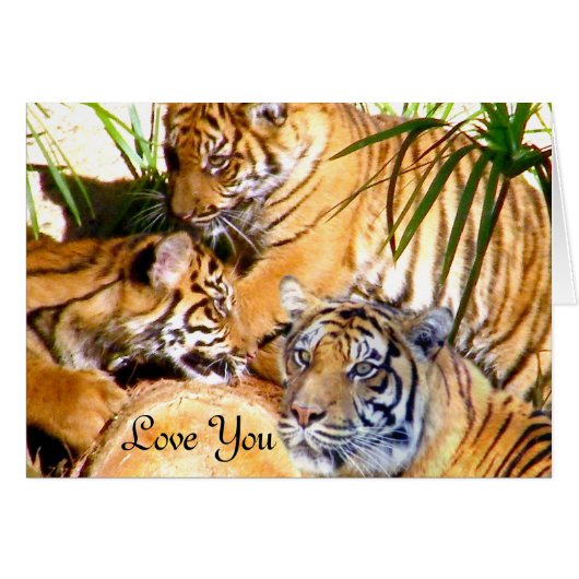 Love Always,Tigers_ Cards (Front Horizontal)