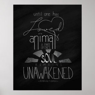 Love an Animal Anatole France Hand Lettered Poster
