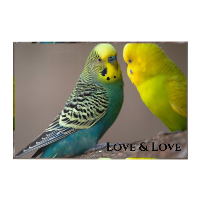 Love and Love Text Birds Custom Acrylic Wall Art (Front)