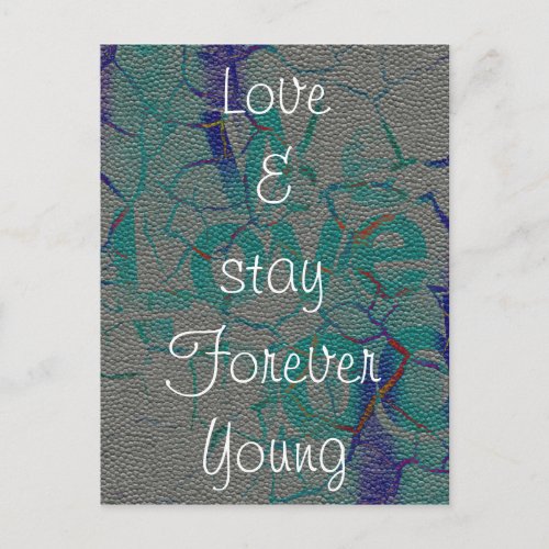 Love and stay Forever Young Postcard