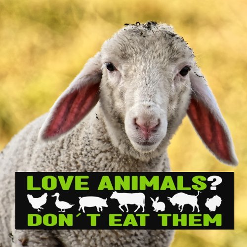 Love Animals Dont eat them Vegan Activism Bumper Sticker
