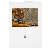 Love/Any Occasion _Card (Back)