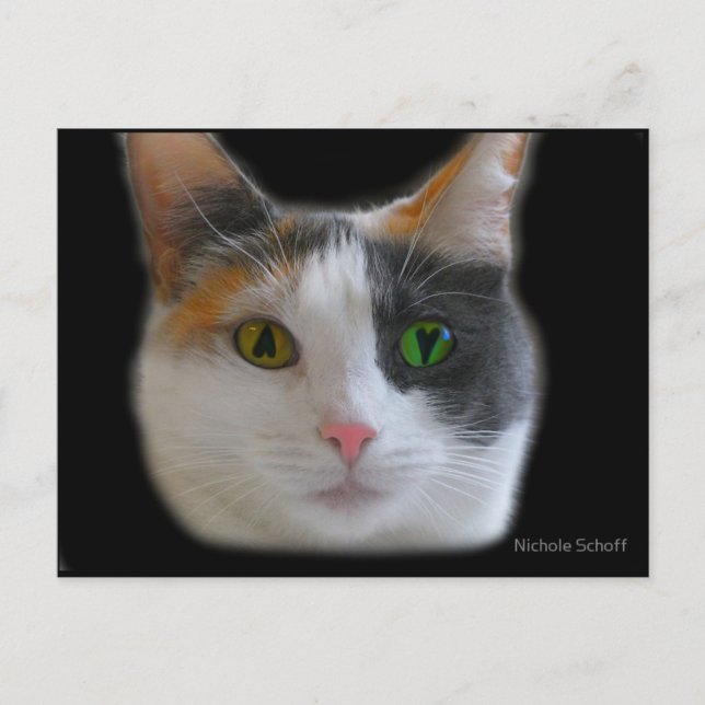 Love at First Sight Postcard (Front)