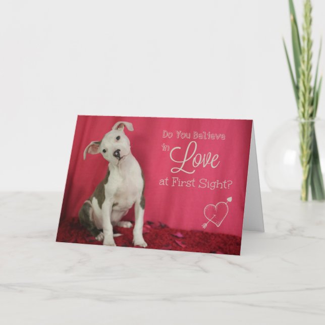 Love at first sight puppy love card (Front)