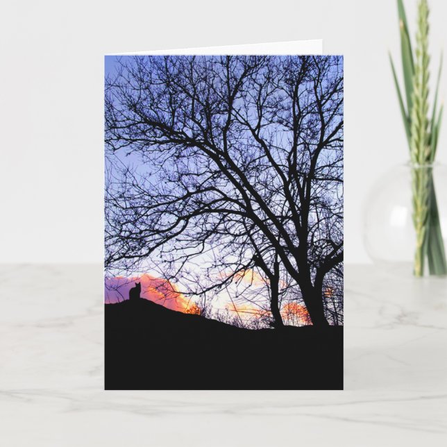 "Love At Sunset" Loss of a Cat Sympathy Card (Front)