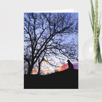 "love At Sunset" Loss Of A Dog Sympathy Card by TabbyHallDesigns at Zazzle