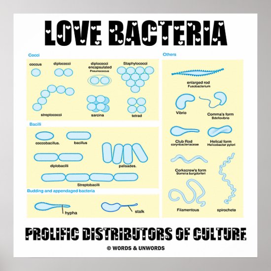 Love Bacteria Prolific Distributors Of Culture Poster