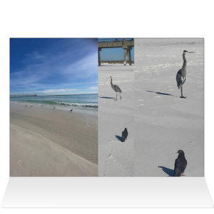 Love Beach Cards