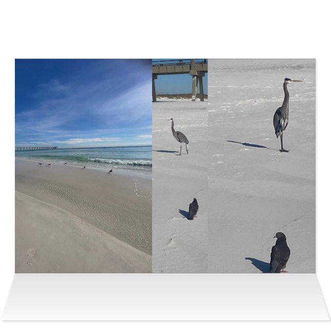 Love Beach Cards (Inside Horizontal (Top))