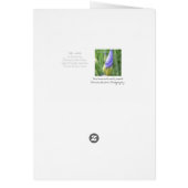Love, Beauty, Kindness Cards (Back)