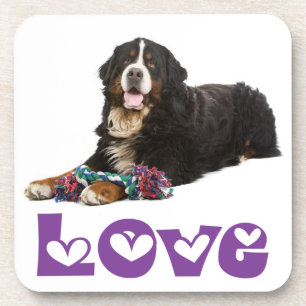 Love Bernese Mountain Puppy Dog Coaster Set