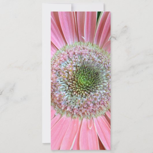 Love Beyond Words Bookmarks (Back)