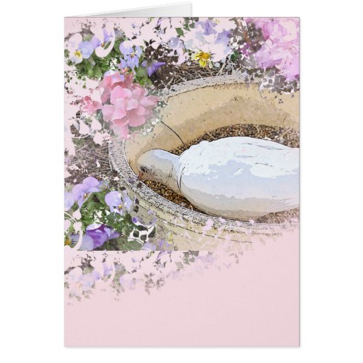 Love Bird Cards (Front)