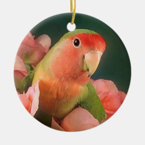 Love bird Christmas ornament