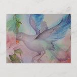 Love Bird in Blue and Pink Postcard