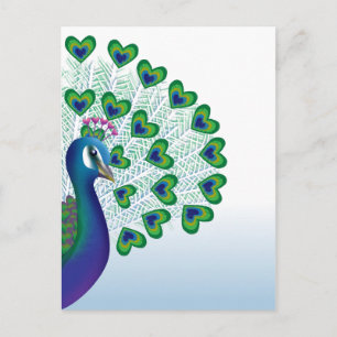Love bird postcard