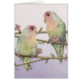 Love Birds (Front)