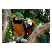 Love Birds (Front Horizontal)