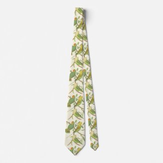 love birds  and parakeets in cream background