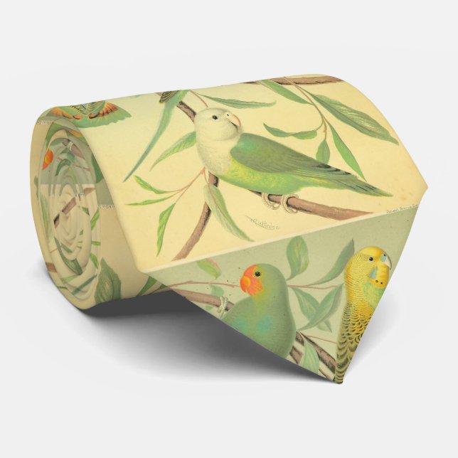 love birds  and parakeets neck tie (Rolled)